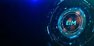 IoT device connecting to the eIM platform for remote profile switching